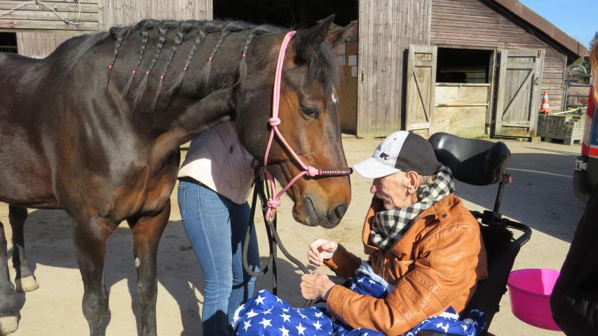 Mann streichelt Pferd